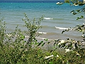 Western Michigan [2010] 573